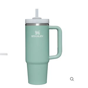 NWT Stanley THE QUENCHER H2.0 FLOWSTATE™ TUMBLER 30 OZ Eucalyptus